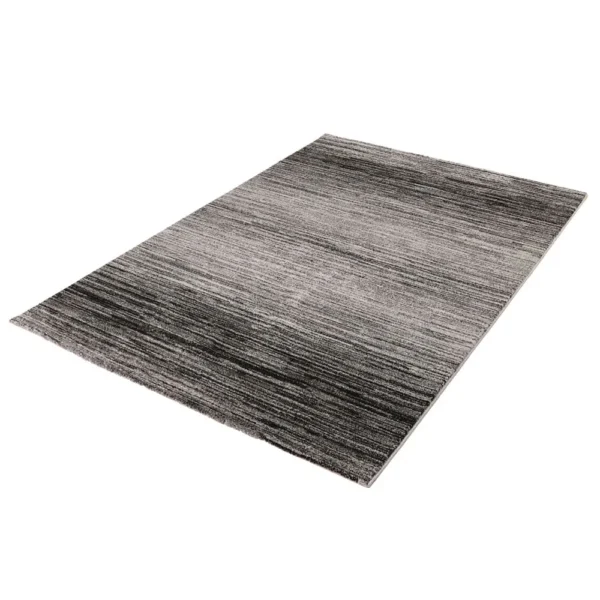 Thảm trang trí H572A-FTB67 hiện đại